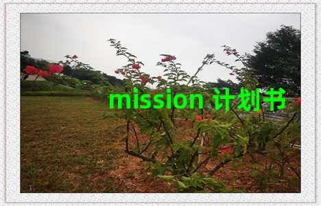 mission 计划书